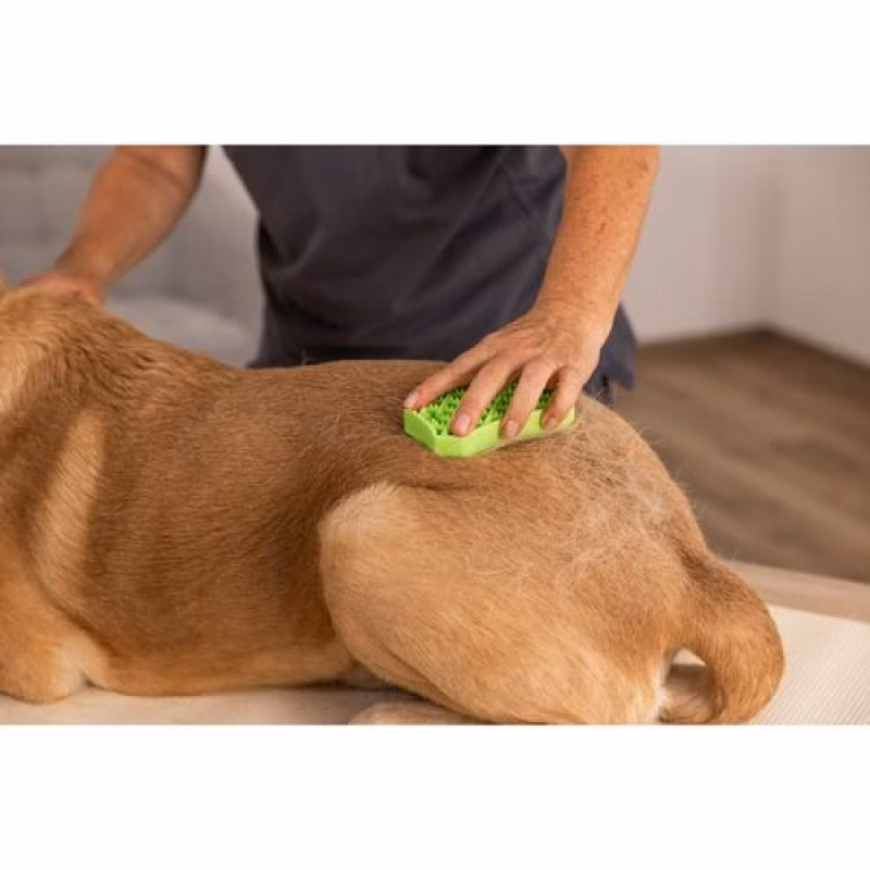 039d798b67d278395273ba126faa85f4