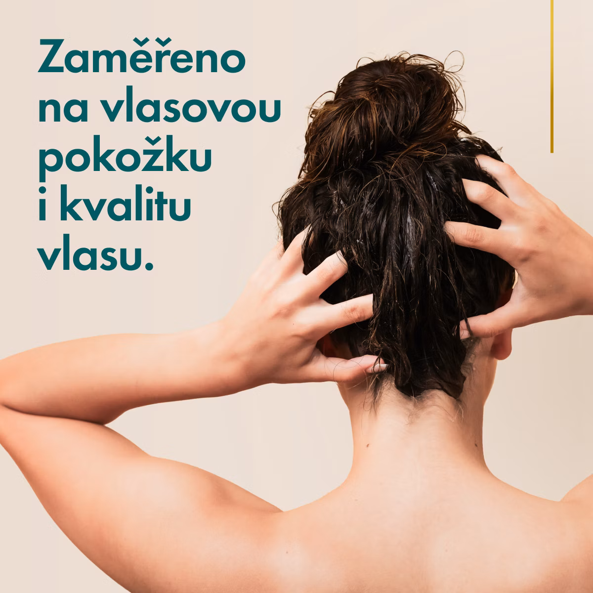071fb09832c6385dee33143f7ed8b209