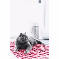 0ca95509206352b2d5f3391e99aa4f12