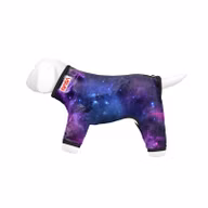 1b99573d5ea871f888c4591489fbe63b