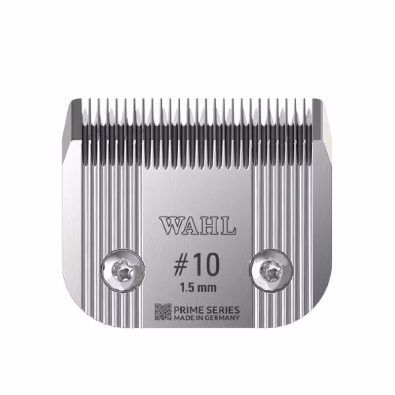 1bef15166664cc093d05b85ad7e15eea