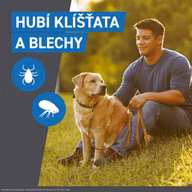 2932f4e7e2f6066adaf6f5708d9bce15