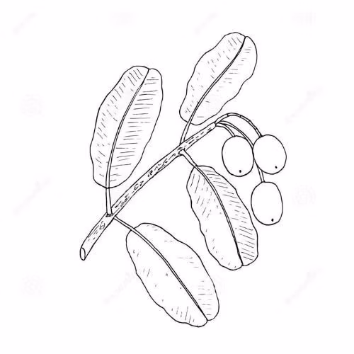 2df2c7435ddb37bf91e4e5b7e7667c17