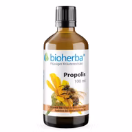 2fb1dec8eec84f2cf5424734d8aa9db2