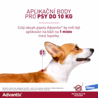 35bb852180993a5f23a2655579c89426