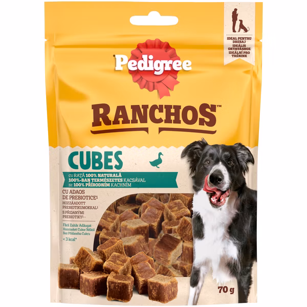 3d6a460a0ee9bdc906216cc59631e1f9