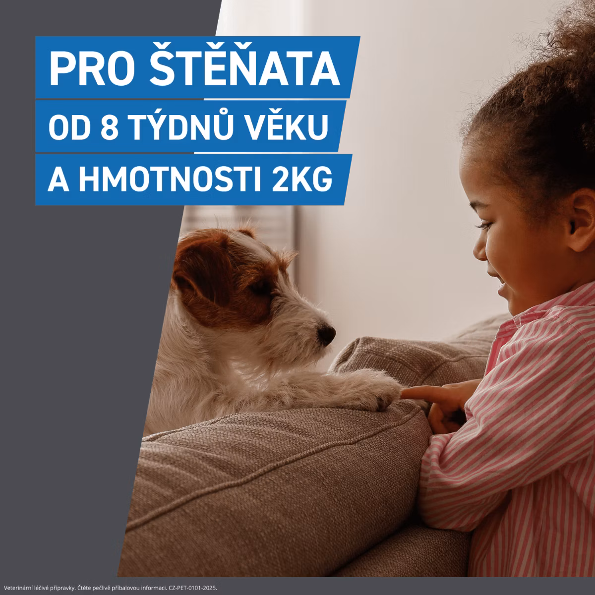 48a2cad62b1f1a951d305ea12850e3b9