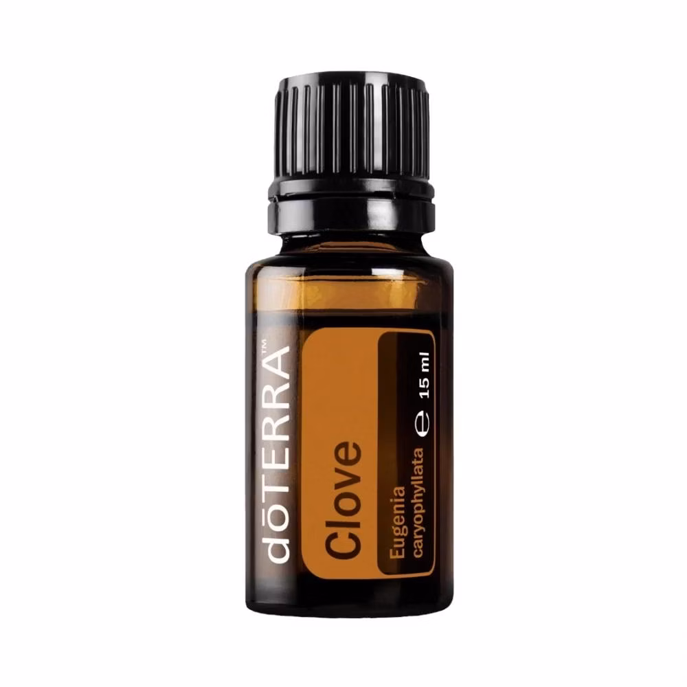 5618b81919b7e3a9a41da4eb8e10ce36
