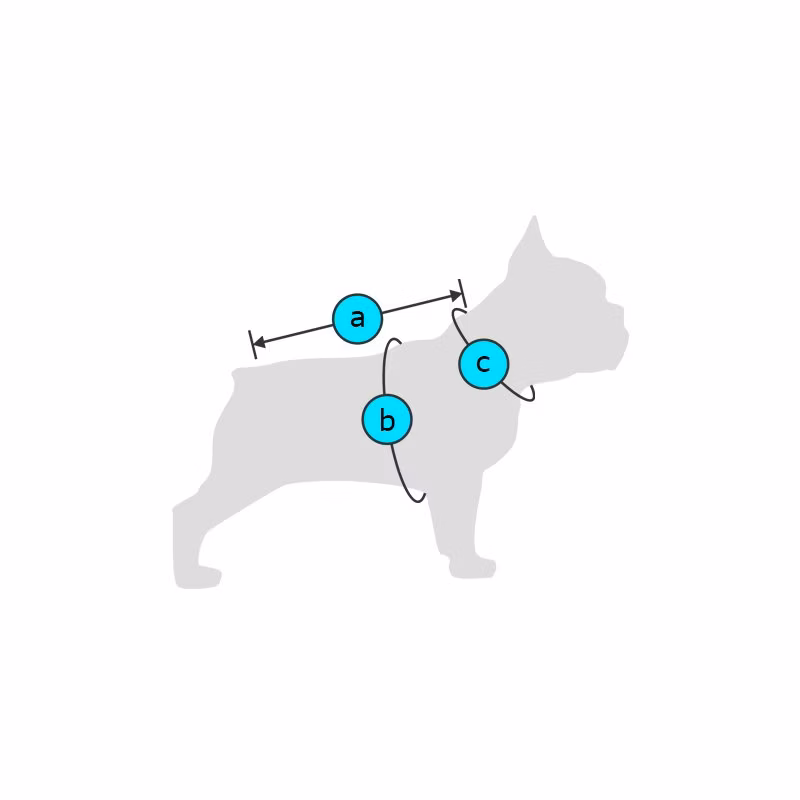 57bd0166b89803cc34d99c3aa5661561