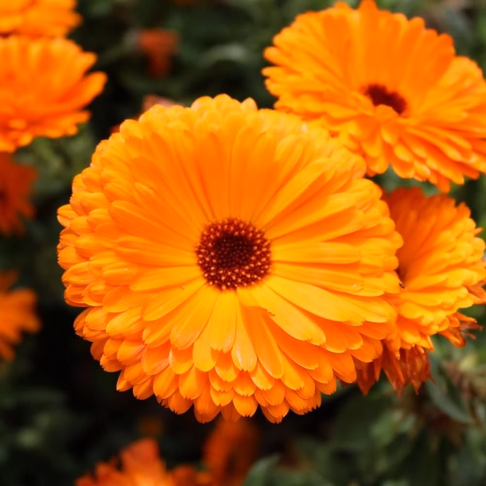 5da2e9622b9e4a5fb84d2bf0f1d5197a