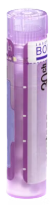 6167cecfd07aca4c969031114ebc23c2