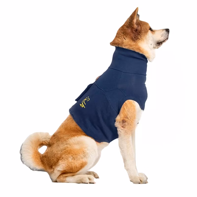 624ea5d2fd254704c947e60807647abe
