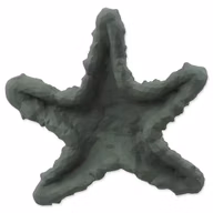 66d5641e02fa49bd6584139b12e824b4