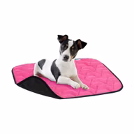 679a91e3415f2afed18a65c80a484e23