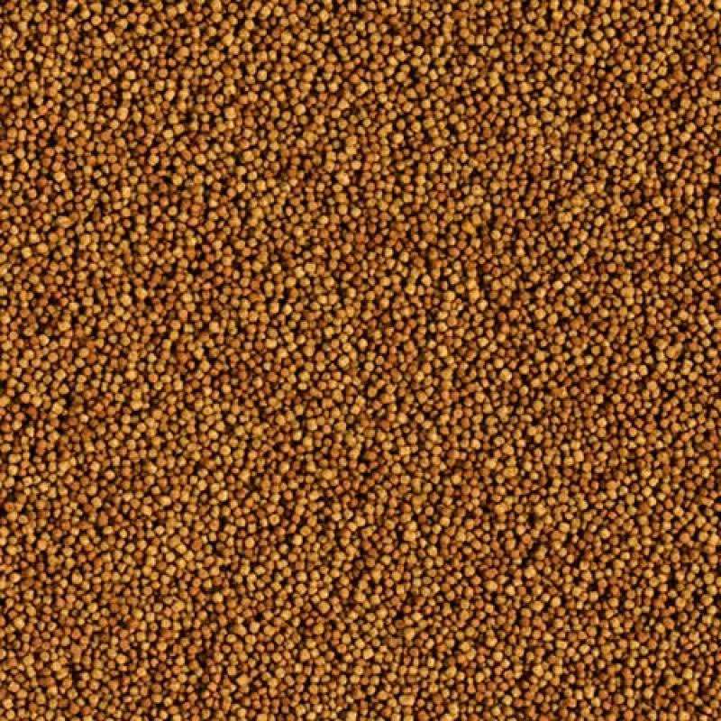 721a9dd52ed8bd5a74f10aecbe9b478e