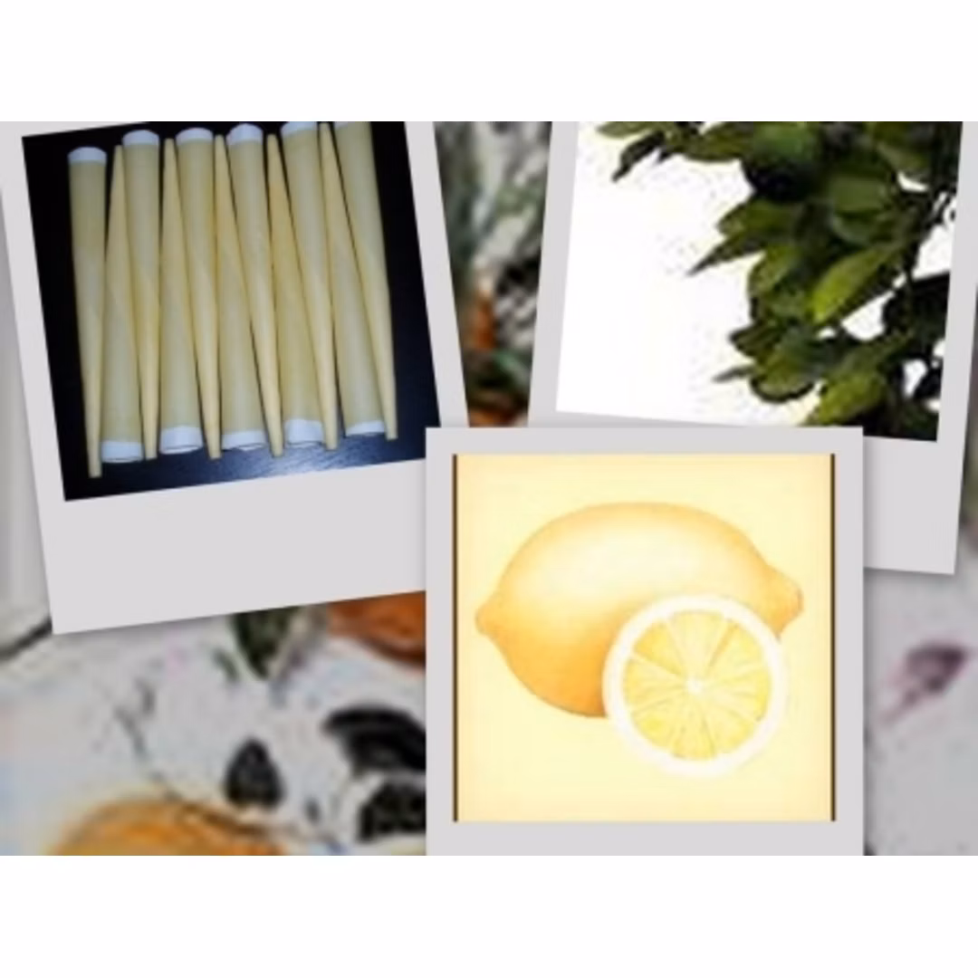 7c97b37db500c1a5ac4fe7ca25bf662c