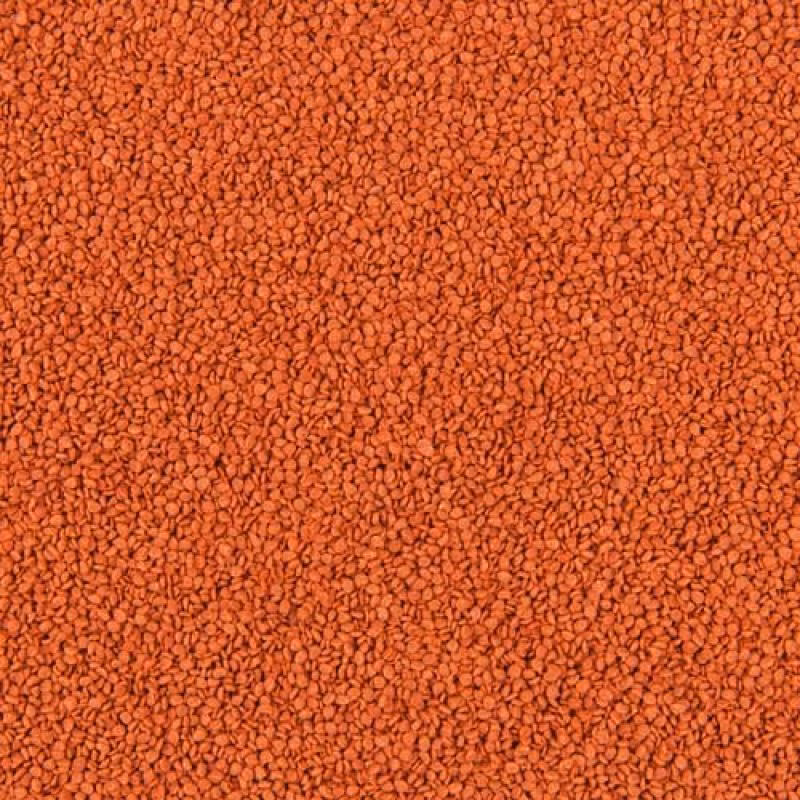 8402fd1f1161c32f13da755f58944977