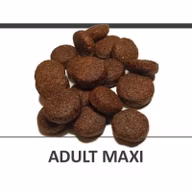 89ad35a7d5638b1c0735c56ce0799a5a
