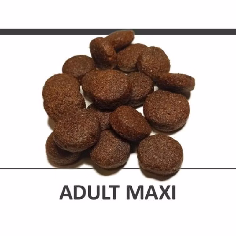 89ad35a7d5638b1c0735c56ce0799a5a