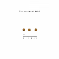 9d25181f607c288403905bc5e779737e