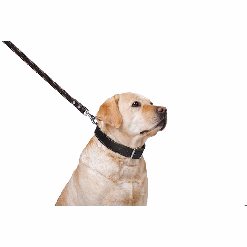 a333b95949ddc21c90055e944b91ed13