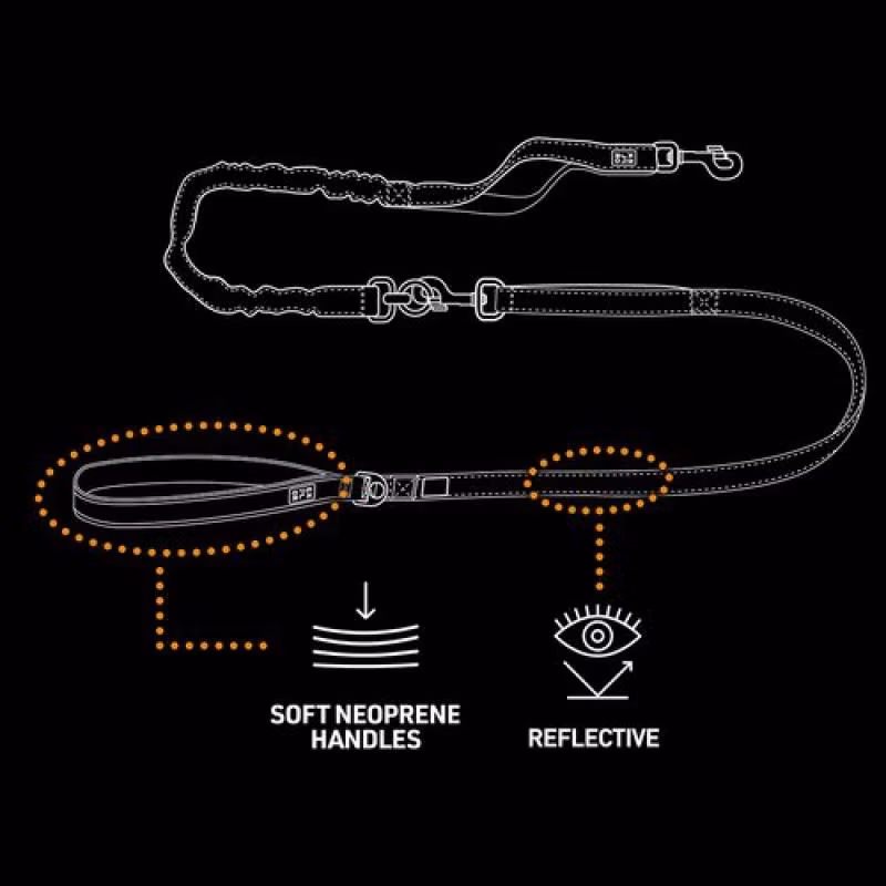 a9f51dd50f623c2453f8777aaac0816b