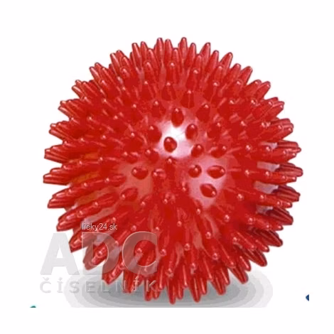 b2061f4e3a41d87307e0b90d7243f86c