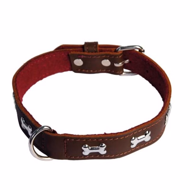 b4284b9f1624da12cfb8196f71a464d7