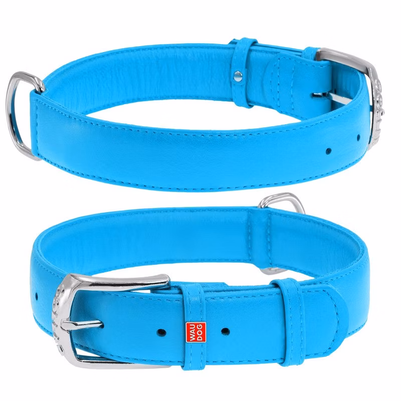 bb323ae8097a1e72fcf46a428889a862