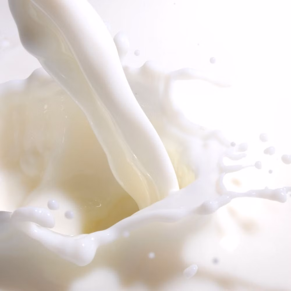 c027346c29025e109e84519e39d4df94