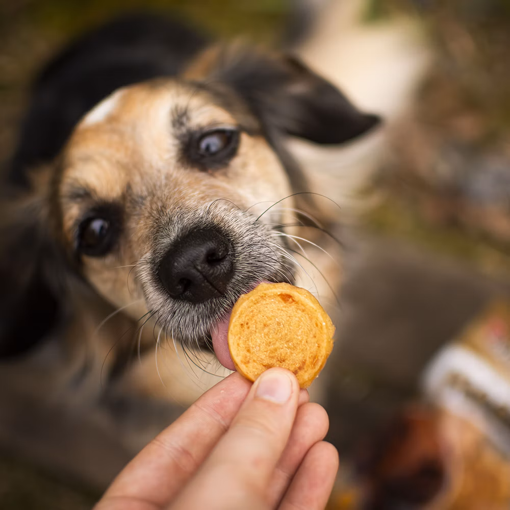 c7992fcdbb765deb34ae711e1c0e0315