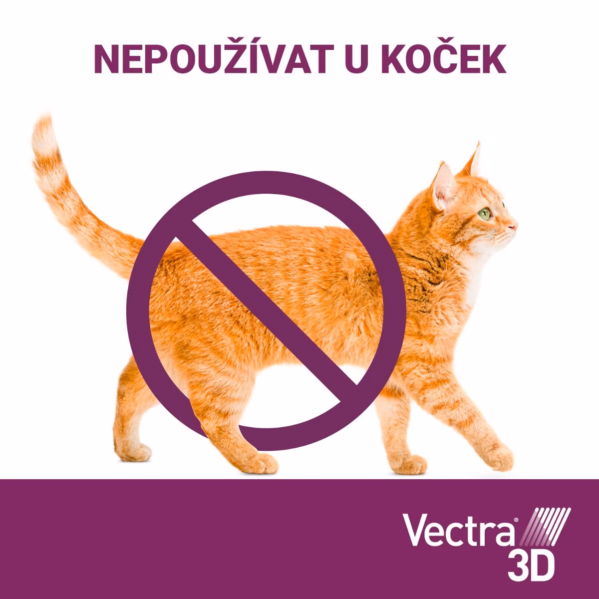 cc4ab7ed9f8b7094ba04850d9f2fce03