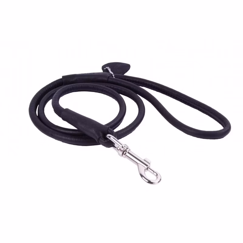 ceccaf526485ff5e44ac80ad17ec53dc