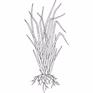 db249aa7b55d86febcc091d31e8cb86f