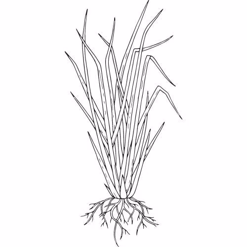 db249aa7b55d86febcc091d31e8cb86f