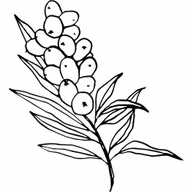 edbc5ed2a3f61e9d8fa1a842a43cae74