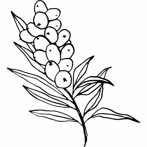 edbc5ed2a3f61e9d8fa1a842a43cae74