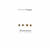 f5d0b90b42b7954933365a8f72d85671