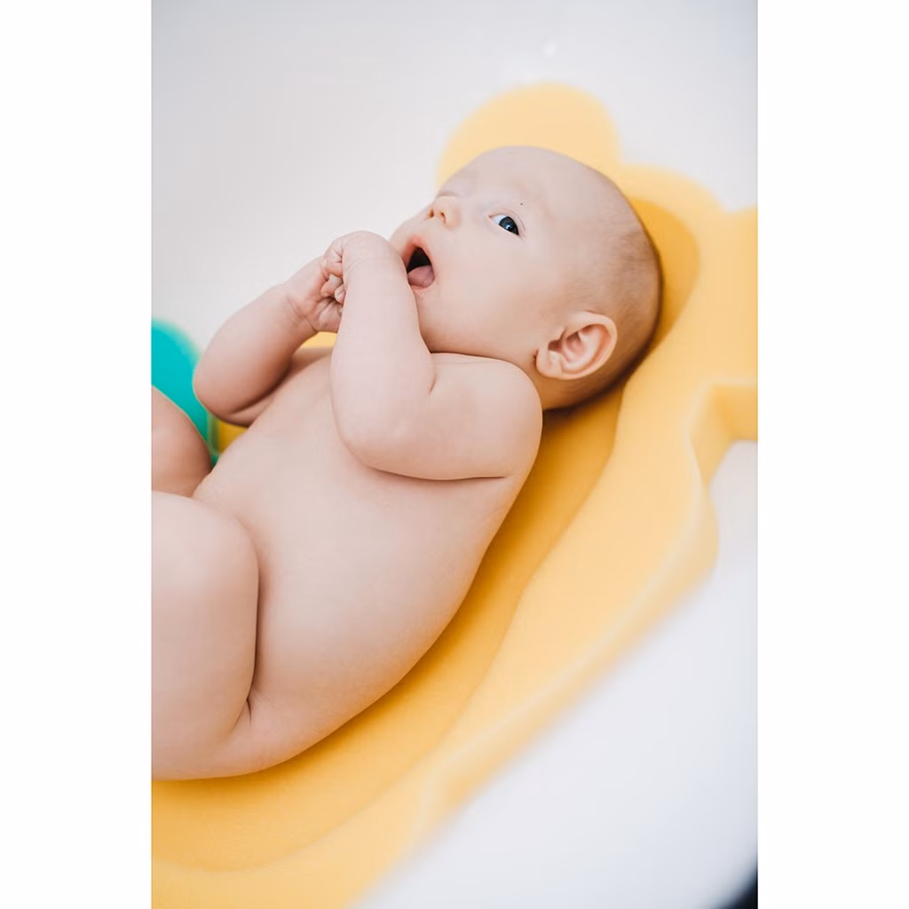 026b95f5777fc7ae88c89594588a0562