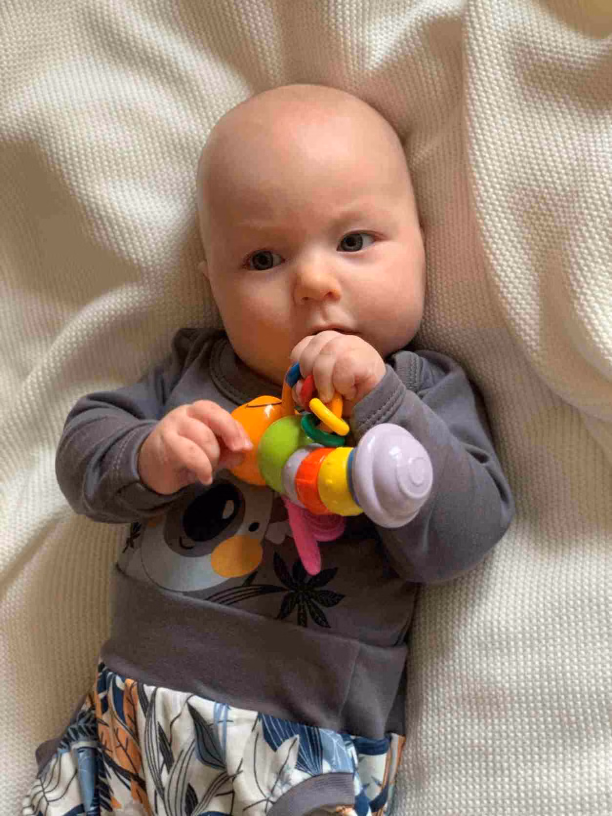 2599e59801406f718065ae76e58bb2e8