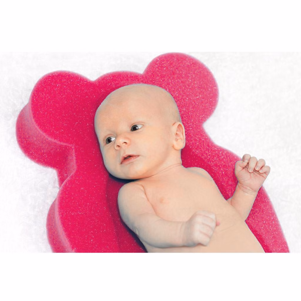 3bdb460b384f35fd76f4e62f5c19e5e2