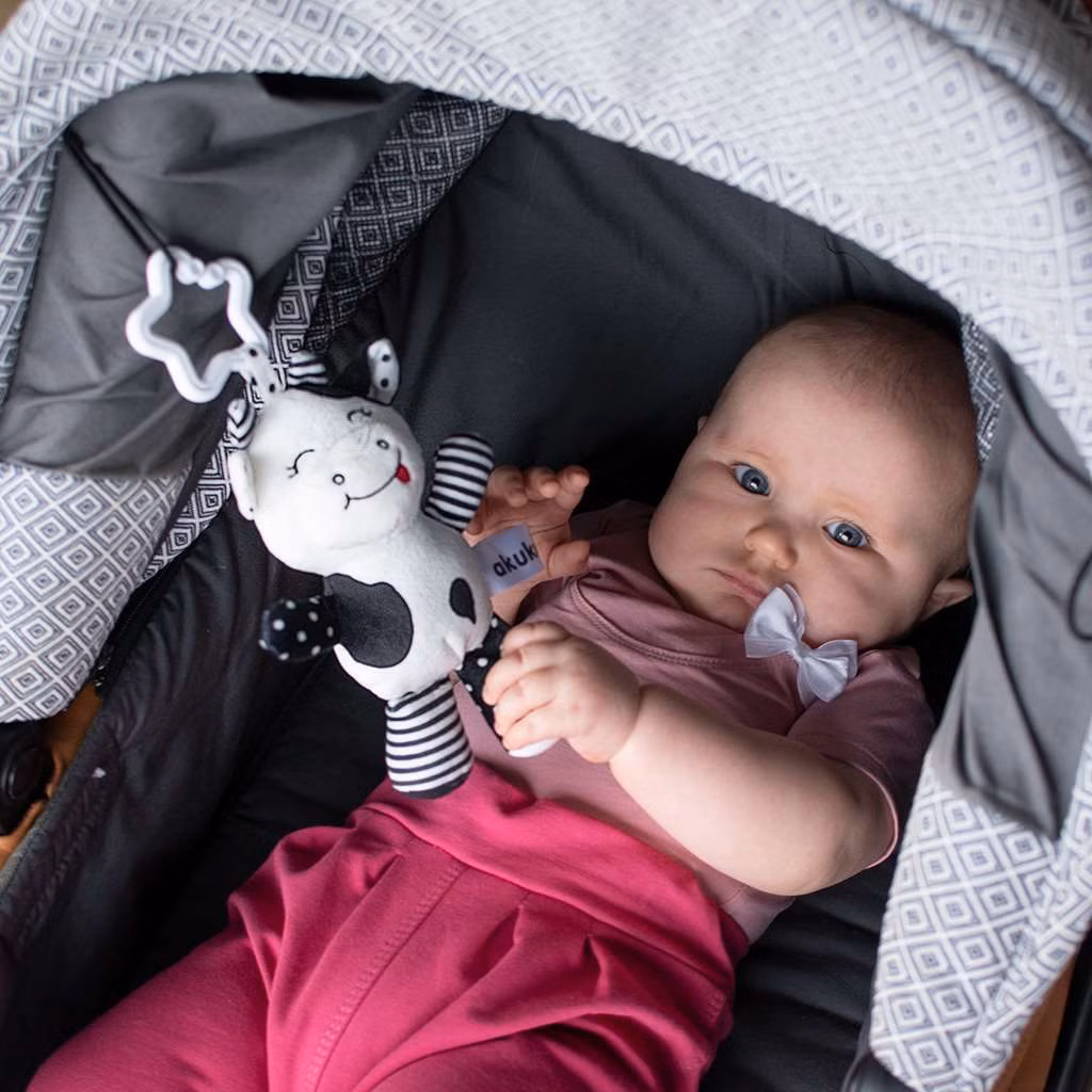 469bd5c9a8db203ad2389b7d9f2caa06