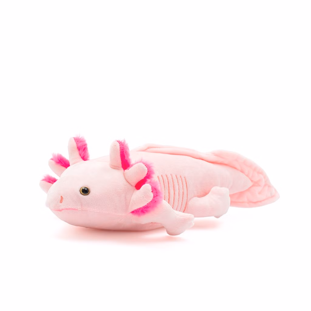 87b5a1322be383ec87deb5d2720322fa