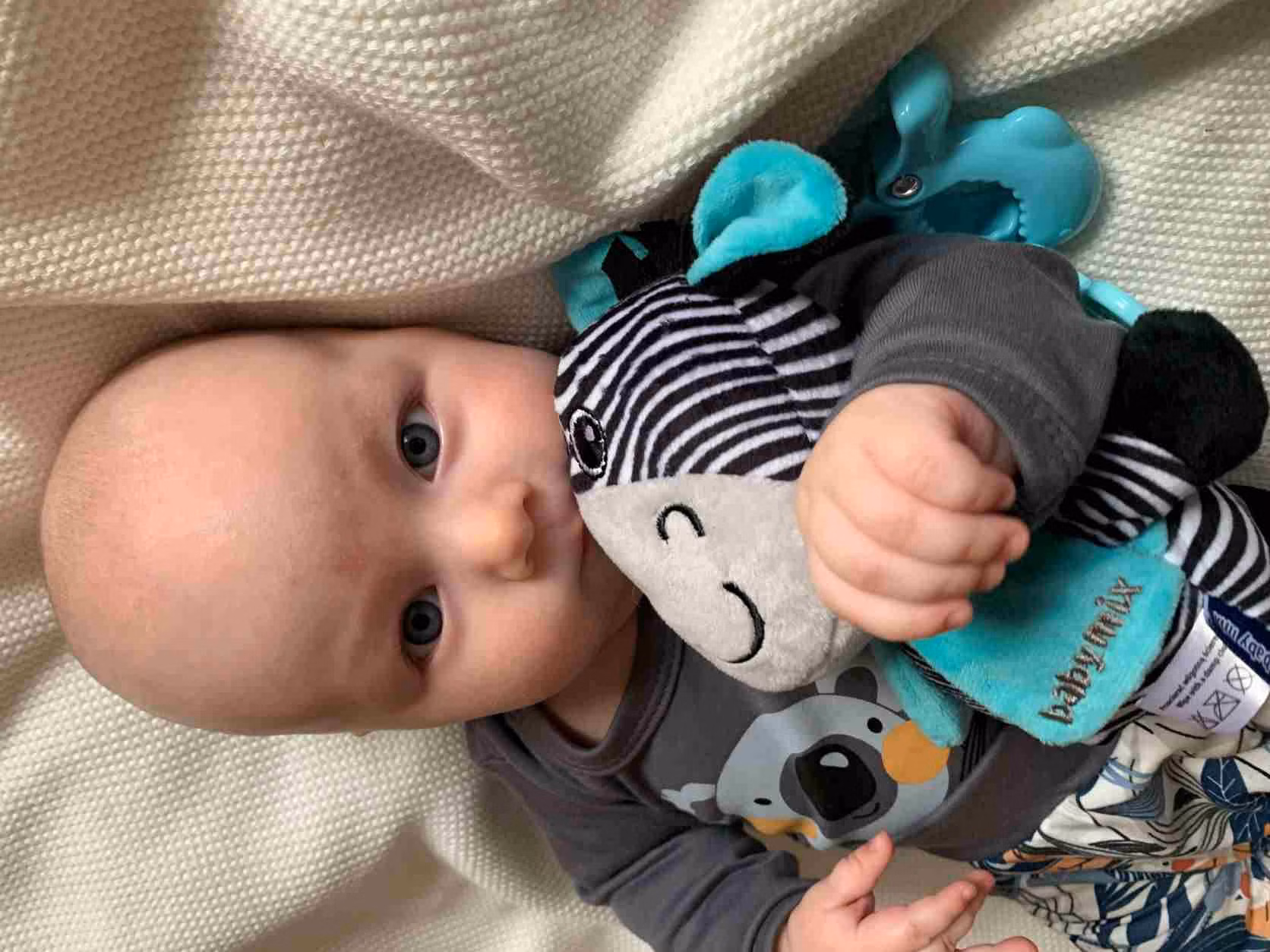 9e1b82254c70192f419a40cb5e2a7e63