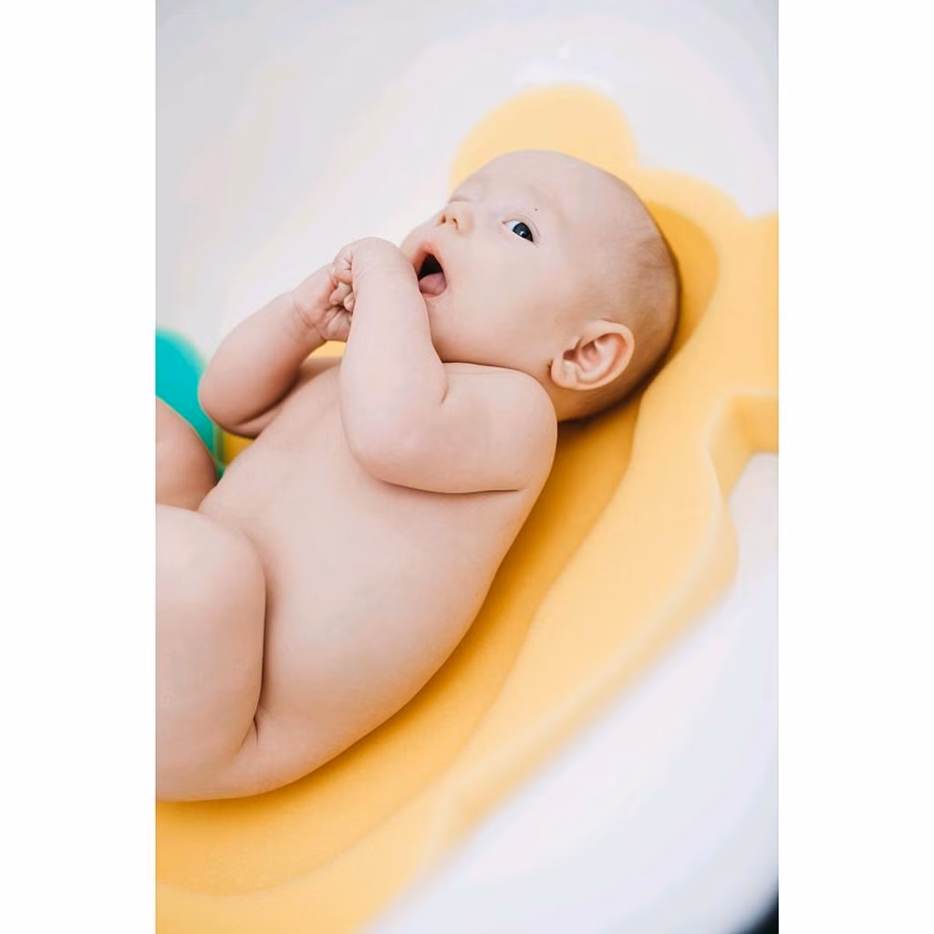 e0255e214fc46e1f3e7f4fdbc8e53f53