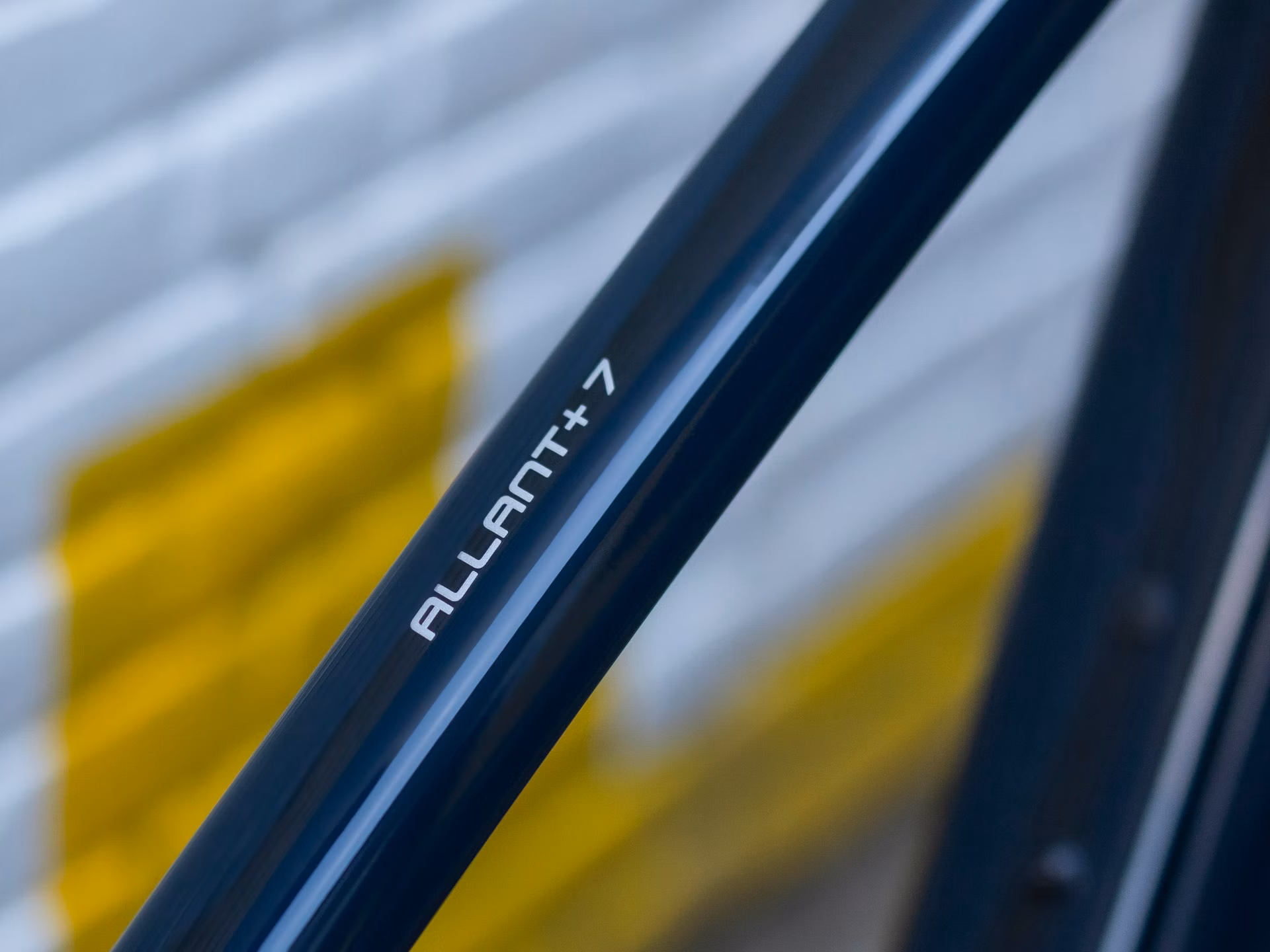 Allant+ 7