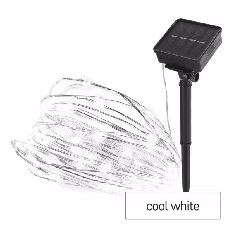29989a0cb5ec2145f53201694aef3881