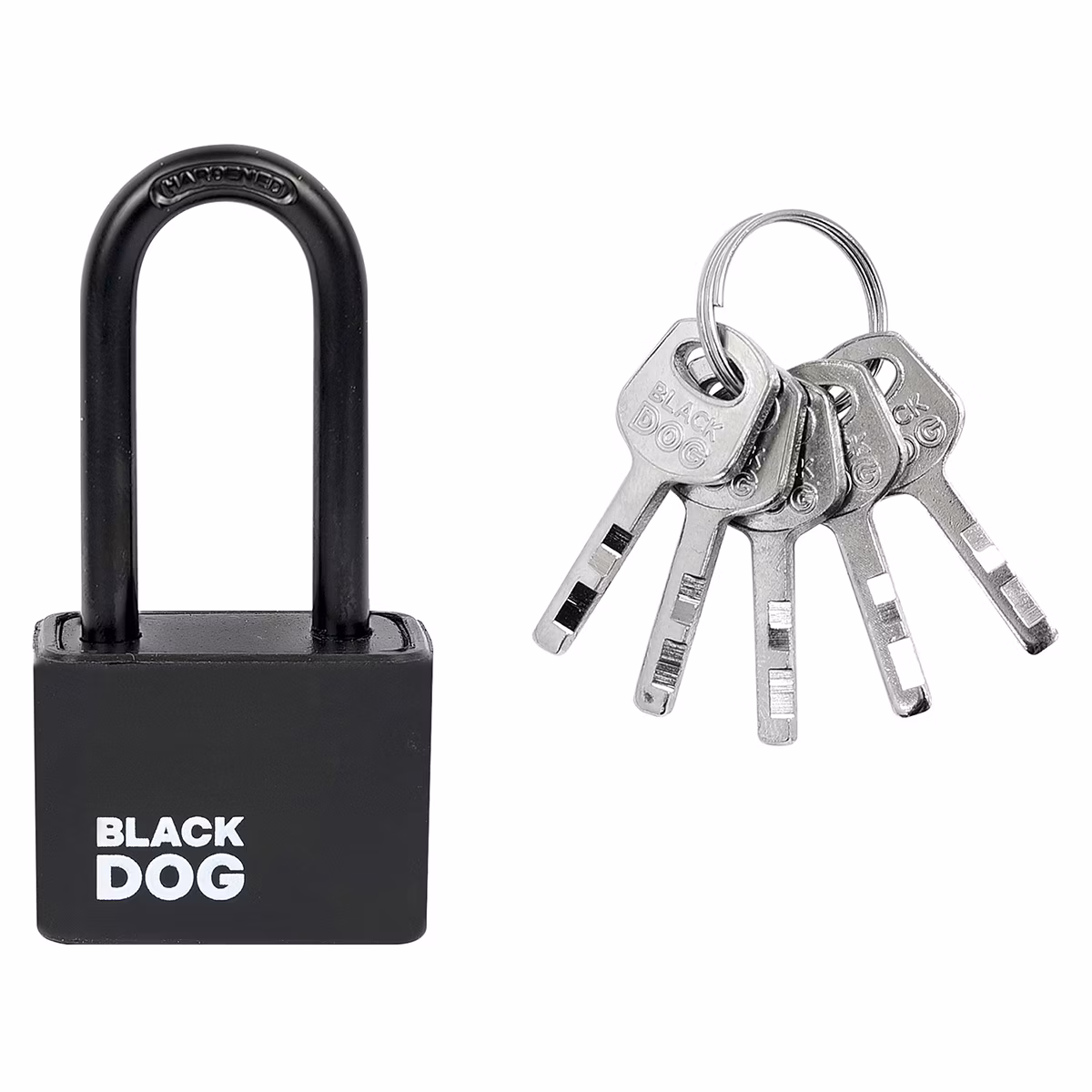 RV.BLACKDOG.30.PL