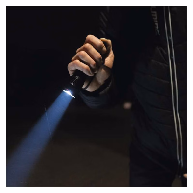 LED ručné kovové svietidlo, 500 lm, 4× AAA, fokus