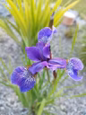 IMG 20230601 193559